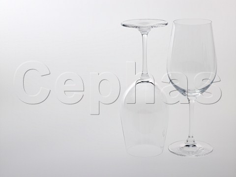 2 Riedel Sangiovese  Riesling  Zinfandel wine glasses