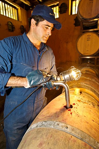 Filling barrel at Luis Felipe Edwards winery Colchagua Valley Chile Rapel