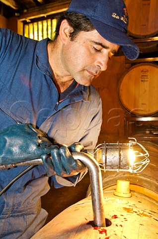 Filling barrel at Luis Felipe Edwards winery Colchagua Valley Chile Rapel