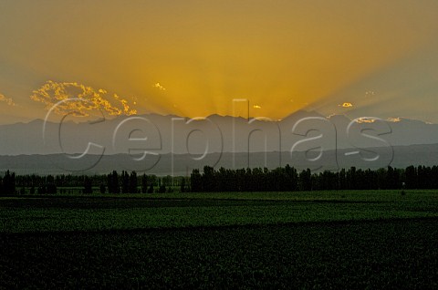 Sunset over the Andes mountains and vineyards of Catena Zapata Mendoza Argentina