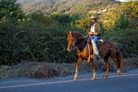 Man on horseback Lolol Colchagua Valley Chile