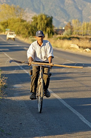Man carrying longhandled sickle on bike  Lolol Colchagua Valley Chile