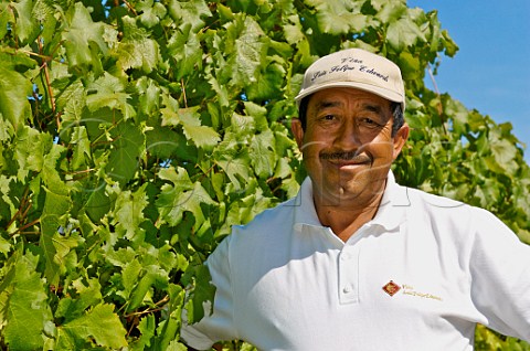 Vineyard manager at Luis Felipe Edwards Colchagua Valley Chile Rapel