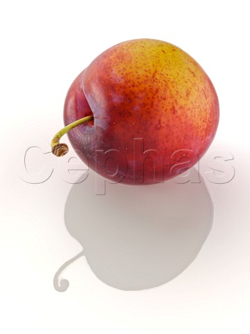 Whole plum