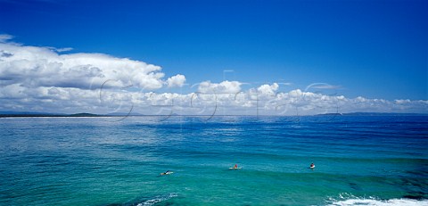 Surfers at Noosa Beach Sunshine Coast Queensland Australia