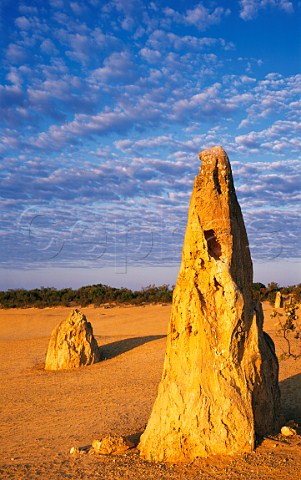 The Pinnacle Desert at sunrise Nambung National Park Western Australia Australia