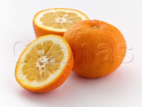 Seville oranges whole and halved