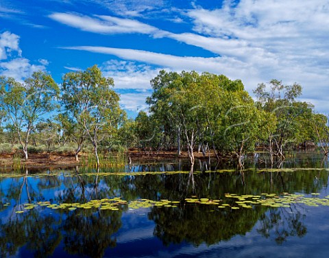 Reservoir at abandoned Ruby Queen Mine Kimberley Western Australia