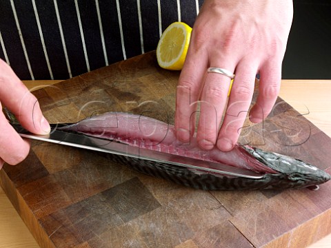 Filleting mackerel
