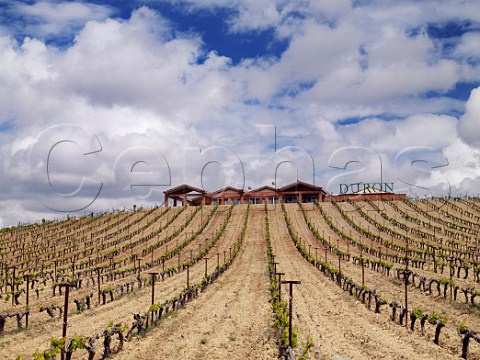 Bodegas Duron above its vineyard in spring  Roa de Duero Castilla y Len Spain Ribera del Duero