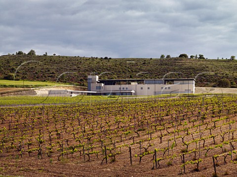 Bodegas Aalto viewed over Tinto Fino vineyards in spring  Near Peafiel Castilla y Len Spain Ribera del Duero