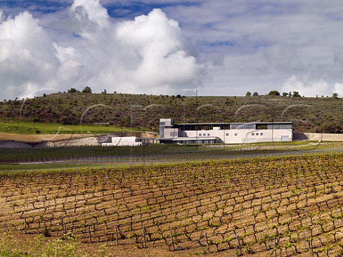 Bodegas Aalto viewed over Tinto Fino vineyards in spring  Near Peafiel Castilla y Len Spain Ribera del Duero