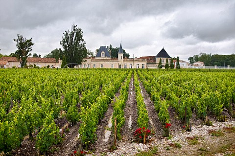 Chteau Marojallia and vineyards Margaux Gironde France Margaux  Bordeaux