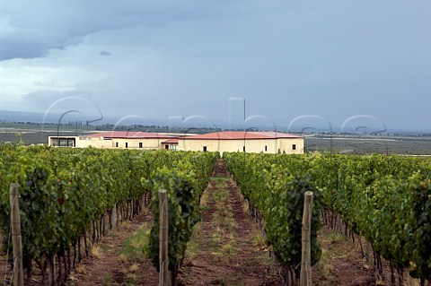 Cuvelier Los Andes winery and vineyard part of the Clos de Los Siete group Uco Valley Mendoza Argentina
