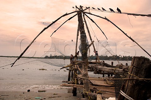 Indian men working with the Chinese fishing nets along the northern shore of Fort Cochin Kochi Cochin Kerala India