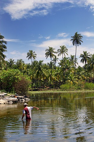 Local fisherman wading in water off the Costa Malabari beach near Kannur Cannanore on the CochinMysore  CochinGoa route North Kerala India