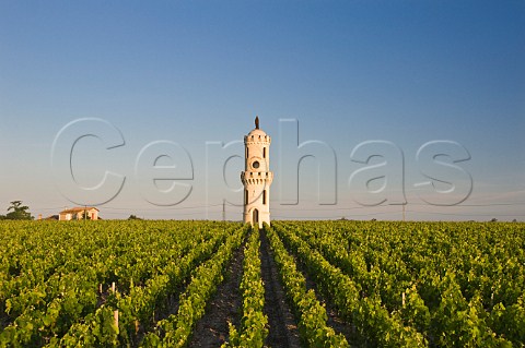 Latour dAspic tower in vineyard of Chteau HautBatailley Pauillac Gironde France Pauillac  Bordeaux