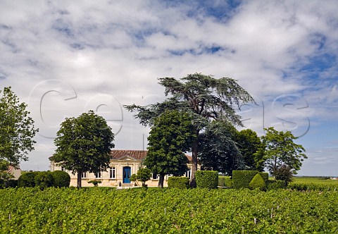 Chteau Pibran and its vineyards Pauillac Gironde France Pauillac  Bordeaux