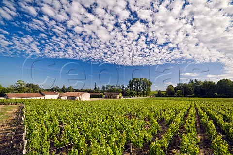 Chteau CoutelinMerville and its vineyards CissacMdoc Gironde France StEstphe  Bordeaux