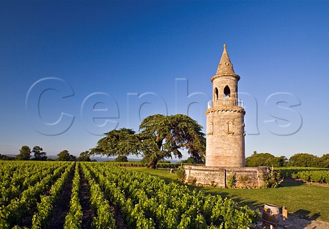 The tower in vineyards of Chteau La Tour de By Bgadan Gironde France Mdoc  Bordeaux