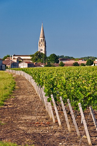 Vineyard and church Bgadan Gironde France Mdoc  Bordeaux