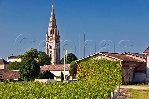 Chteau Patache dAux and vineyards Bgadan Gironde France Mdoc  Bordeaux