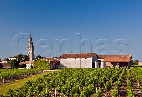 Chteau Patache dAux and vineyards Bgadan Gironde France Mdoc  Bordeaux
