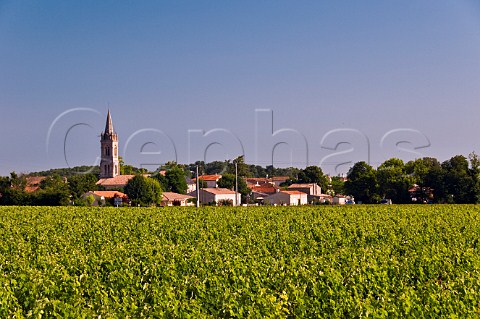 Vineyard and church CivracenMdoc Gironde France Mdoc  Bordeaux