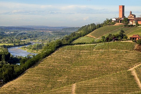 Vineyards above the Tanaro River at Barbaresco Piemonte Italy  Barbaresco