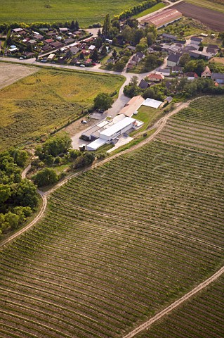 Hardegg Winery at SeefeldKadolz Pulkau valley Austria Weinviertel