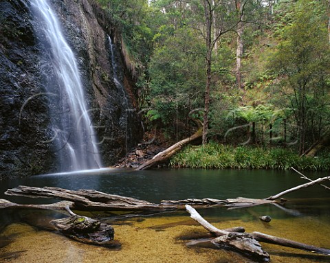 Boundary Falls Gibralter Range National Park New South Wales Australia