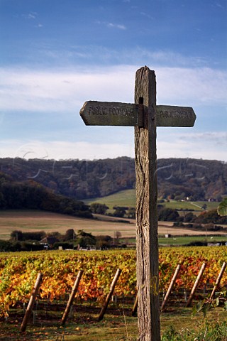 Public Footpath sign by Pinot Noir vineyard of Roebuck Estates with the South Downs beyond Bignor near Pulborough Sussex England