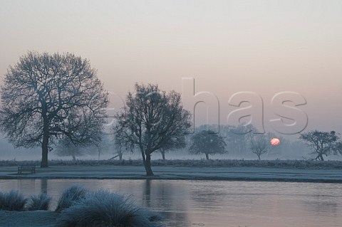 Misty sunrise over Heron Pond Bushy Park London