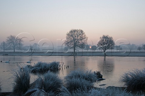 Misty sunrise over Heron Pond Bushy Park London