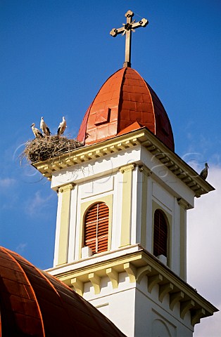 Storks nesting on a church tower at Palkonya Villany Hungary Villany