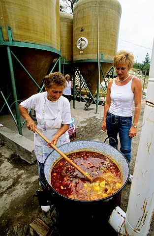 Cooking Gulyas at Simon Winery Eger Hungary Eger