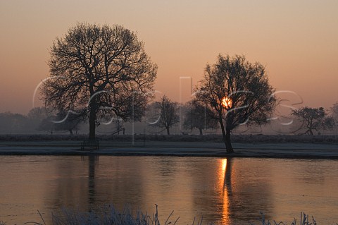Misty sunrise over frozen Heron Pond Bushy Park London