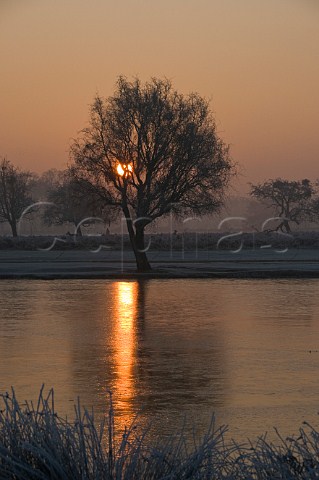Misty sunrise over frozen Heron Pond Bushy Park London