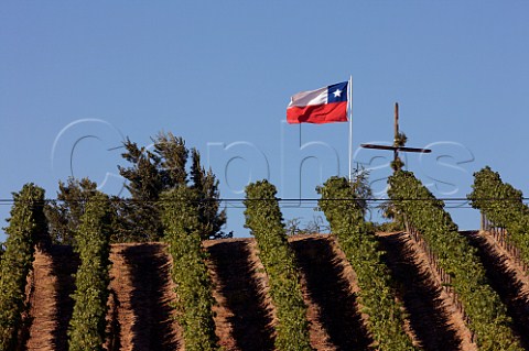 Chilean flag and cross above Cabernet Sauvignon vineyard  Colchagua Valley Chile