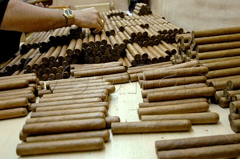Making Cohiba cigars by hand  Havana Cuba