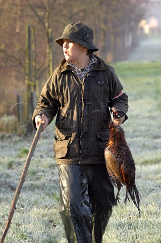 Pheasant hunting  Belgium