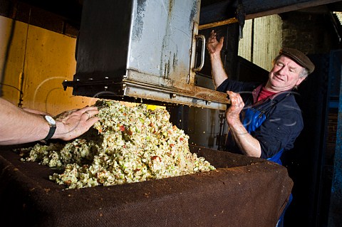Artisan cider maker Roger Wilkins building a cheese of crushed apples for pressing on his hydraulic Beare press  Wilkins Cider Landsend Farm Mudgley Wedmore Somerset England