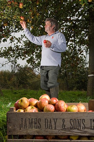 Keith Goverd West Country apple juice maker Compton Dando near Bath Avon England