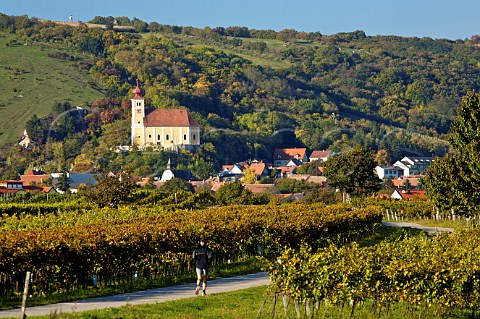 Vineyards at Donnerskirchen Burgenland Austria  NeusiedlerseeHgelland