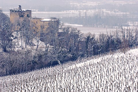 Vineyards in the snow above the Garonne River near Chteau de Langoiran  Langoiran Gironde France  Premires Ctes de Bordeaux