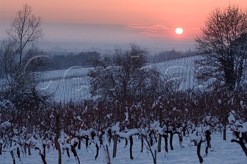 Sunset over snow covered vineyards of Chteau de Langoiran   Langoiran Gironde France  Premires Ctes de Bordeaux