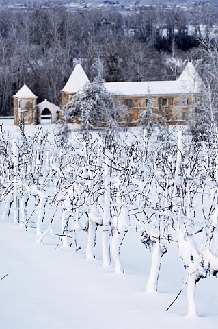 Snow covered vineyard at Chteau de Paillet   Paillet Gironde France    Premires Ctes de Bordeaux