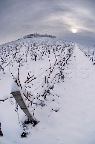 Snow covered vineyard at Chteau de Paillet   Paillet Gironde France    Premires Ctes de Bordeaux