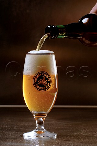 Pouring glass of Gouden Carolus Belgian beer