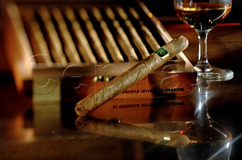 Ruysdael cigar and glass of brandy
